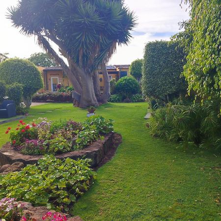 La Chimenea Verde タコロンテ エクステリア 写真