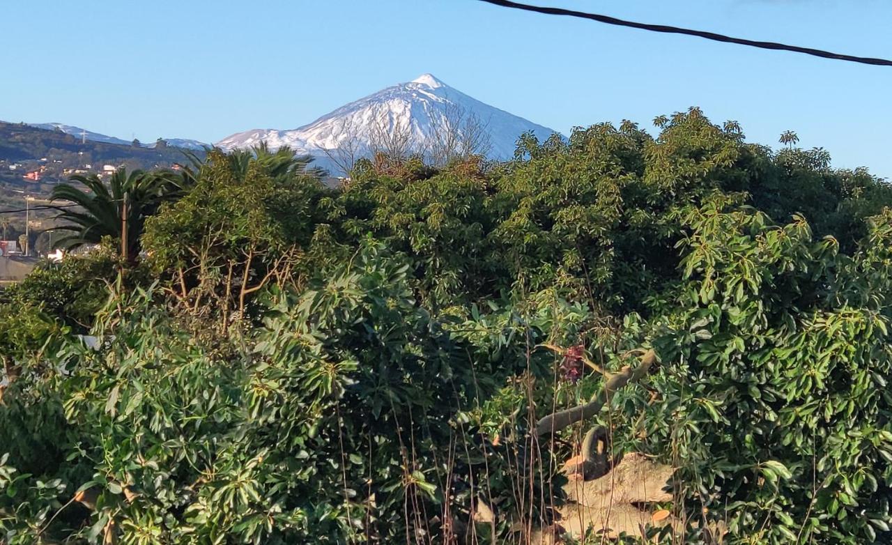 La Chimenea Verde タコロンテ エクステリア 写真