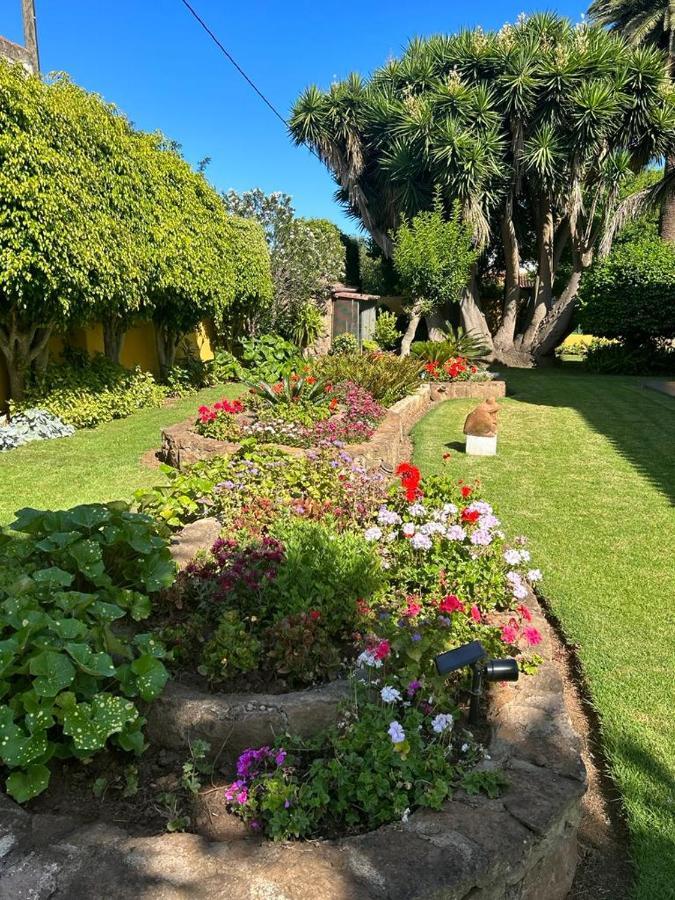 La Chimenea Verde タコロンテ エクステリア 写真