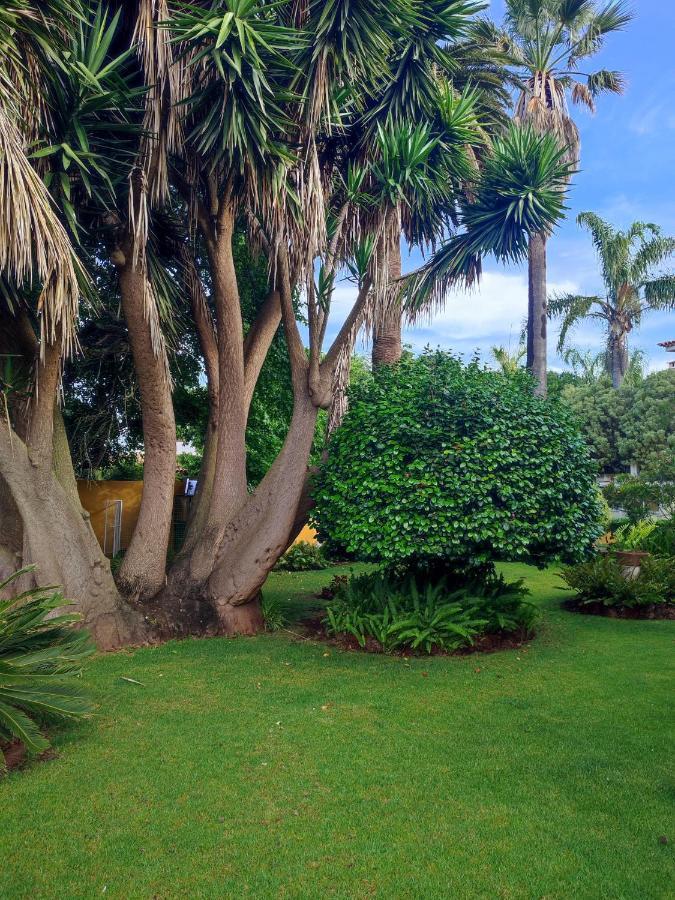 La Chimenea Verde タコロンテ エクステリア 写真