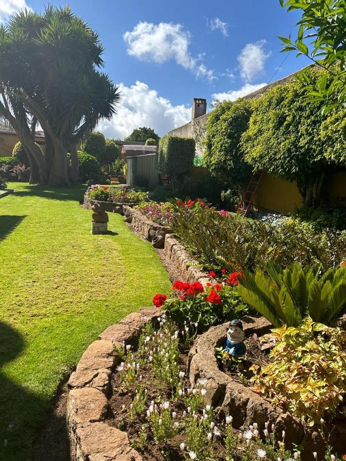 La Chimenea Verde タコロンテ エクステリア 写真
