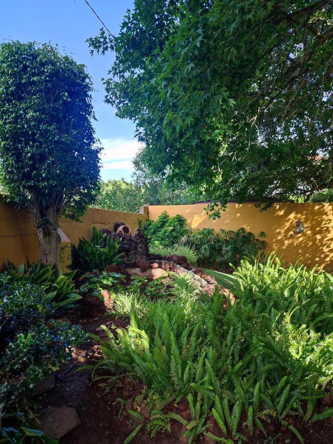 La Chimenea Verde タコロンテ エクステリア 写真