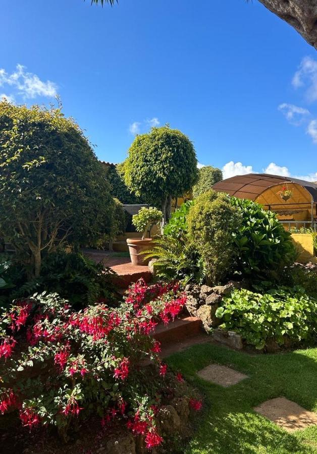 La Chimenea Verde タコロンテ エクステリア 写真